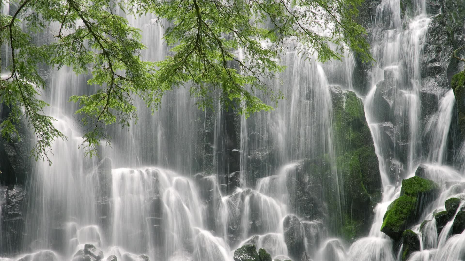 世界乒乓球公开赛城市承办能力评审结果，世界乒乓球锦标赛举办地